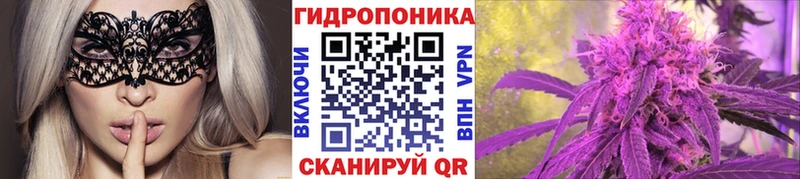 Конопля VHQ  Артём 